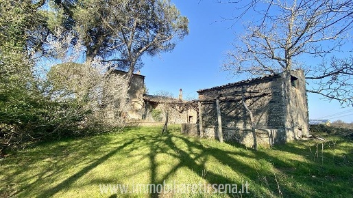 Foto Casale a Orvieto di 700 m² con 10 locali in vendita