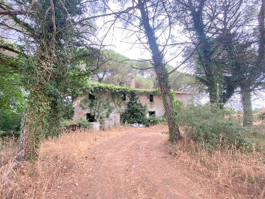 Foto Casale in Via Vitellino 46, Castiglione del Lago Vitellino di 360 m²