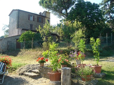 Foto Casale a Umbertide di 500 m² con 20 locali in vendita