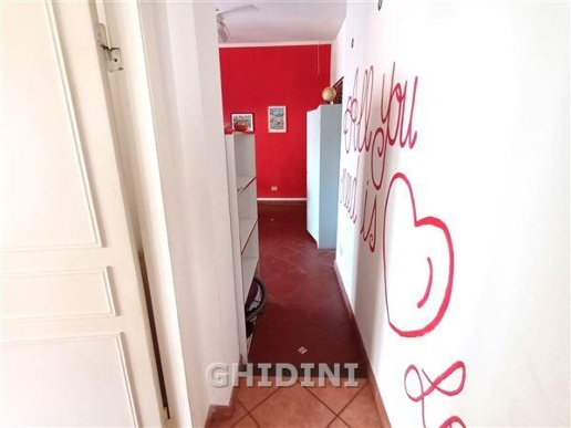 immagine annuncio 2 di 8