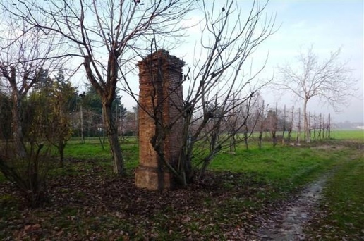 immagine annuncio 3 di 6