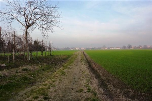 immagine annuncio 4 di 6
