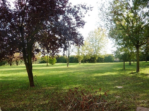 immagine annuncio 4 di 8