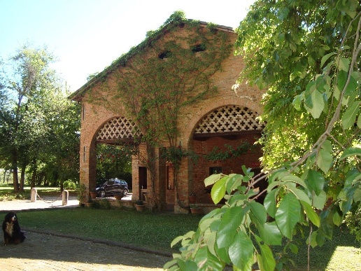 immagine annuncio 10 di 13