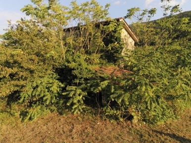 Foto Casale a San Giorgio a Liri di 100 m² con 5 locali in vendita