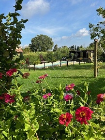 Foto Casale a Sarteano di 120 m² con 4 locali in vendita