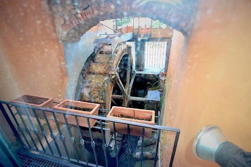 immagine annuncio 14 di 15