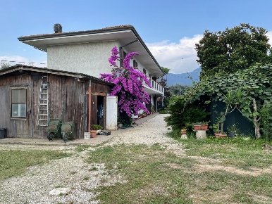 Foto Casale in Via marchetti, Pietrasanta di 289 m² con 9 locali in vendita