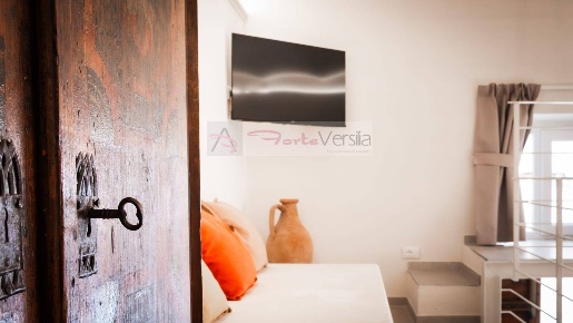 Foto Loft a Pietrasanta di 63 m² con 2 locali in vendita