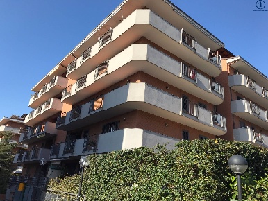 Foto Duplex in VIA PAUL HARRIS P.CO MIRABELLA, San Nicola la Strada