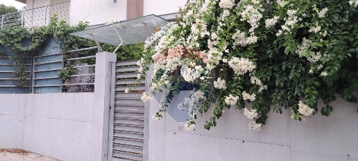 Foto Duplex in Via Alcide De Gaspari, Montesilvano Montesilvano Colle