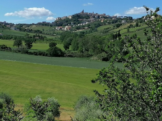 immagine annuncio 10 di 13