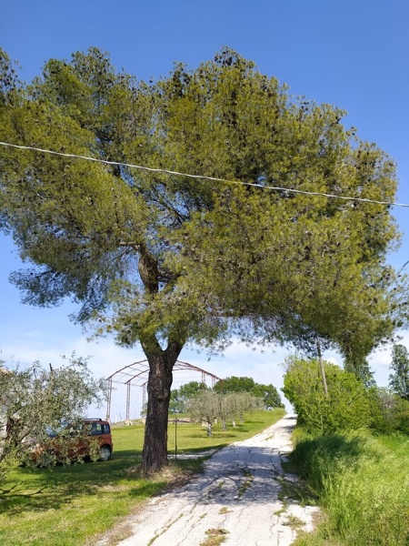 immagine annuncio 8 di 10