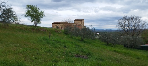 Foto Casale a Sinalunga di 550 m² con 30 locali in vendita