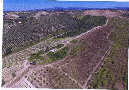 Foto Casale a Baschi Centro di 500 m² con 20 locali in vendita