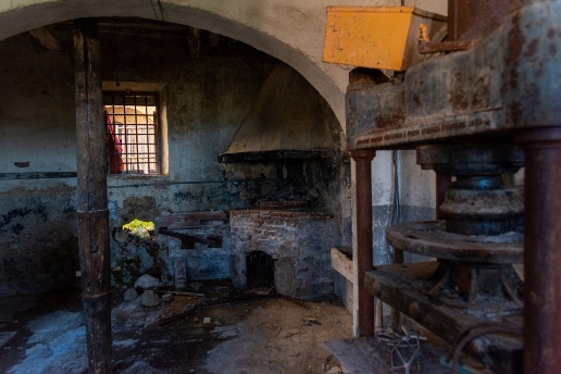 immagine annuncio 3 di 7