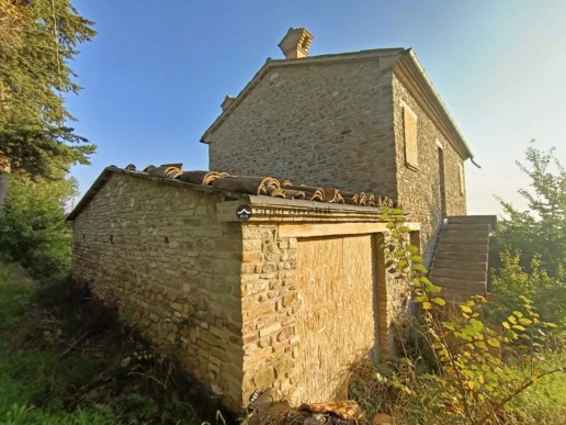 immagine annuncio 2 di 14