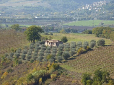 Foto Casale a Baschi Centro di 800 m² con 4 locali in vendita