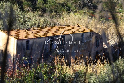 Foto Casale a Castiglione della Pescaia Castiglione Paese di 330 m²