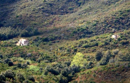 Foto Casale in loc. Filetto, Campo nell'Elba Marina Di Campo di 500 m²