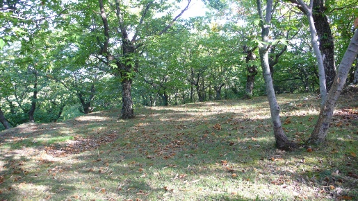 Foto Casale a Cinigiano di 40 m² in vendita