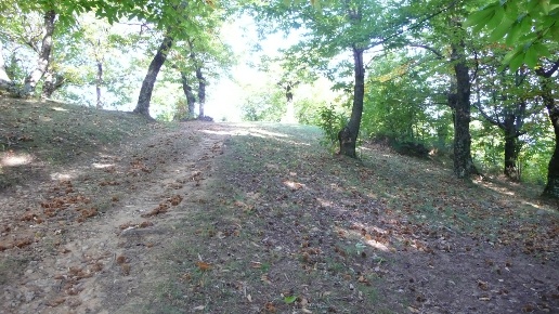 immagine annuncio 6 di 8