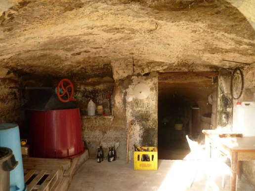 immagine annuncio 14 di 15