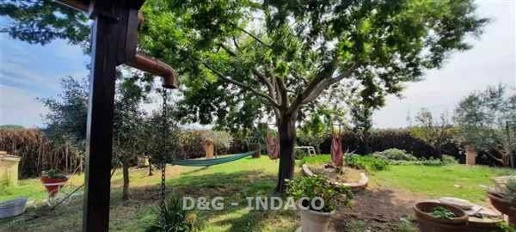 Foto Casale a Grosseto di 280 m² con 5 locali in vendita