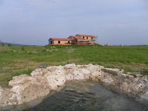 immagine annuncio 5 di 8