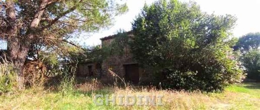 immagine annuncio 7 di 14