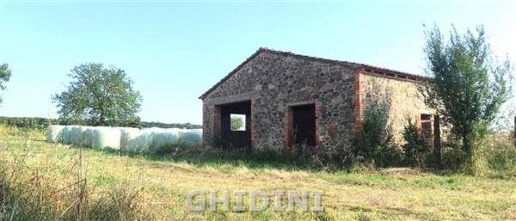 immagine annuncio 8 di 14