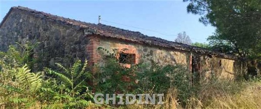 immagine annuncio 10 di 14