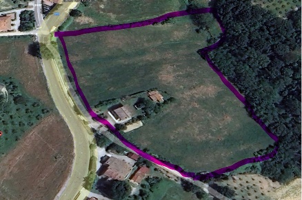 Foto Casale a Torrita di Siena di 300 m² con 12 locali in vendita