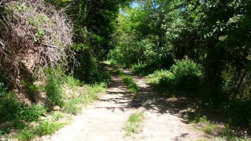 Foto Casale a Sorano di 120 m² con 4 locali in vendita