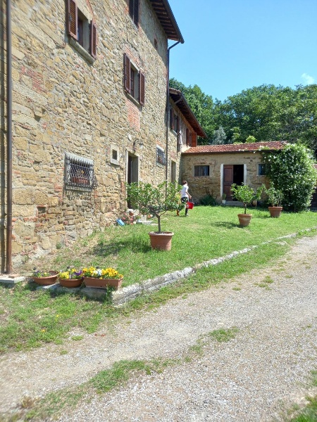 immagine annuncio 2 di 14