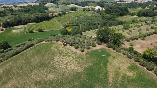 immagine annuncio 1 di 12