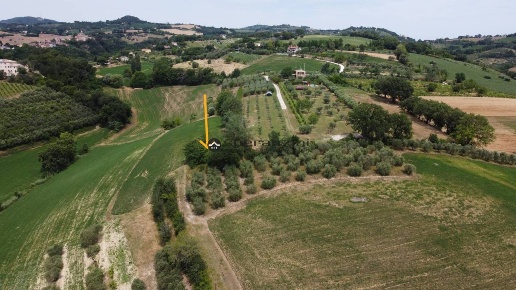 immagine annuncio 2 di 12