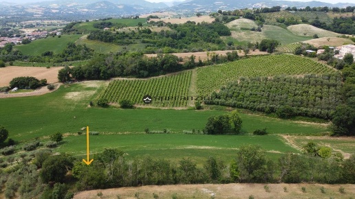 immagine annuncio 6 di 12