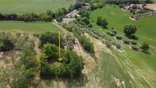 immagine annuncio 8 di 12