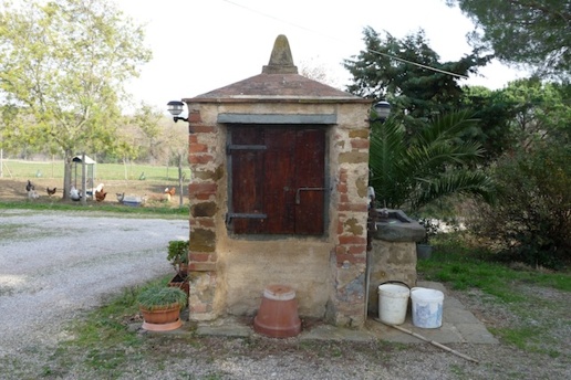 immagine annuncio 6 di 12