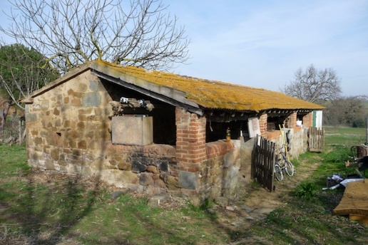 immagine annuncio 7 di 12