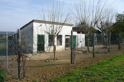 immagine annuncio 9 di 12