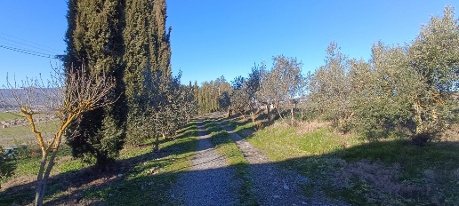Foto Casale a Piancastagnaio Centro di 300 m² con 12 locali in vendita