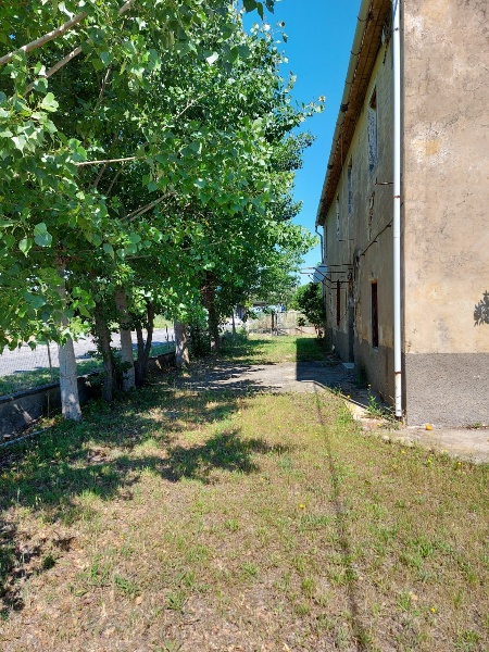 immagine annuncio 1 di 4