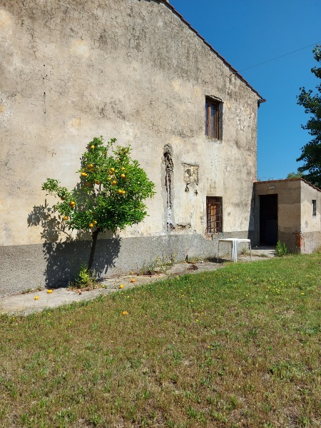immagine annuncio 2 di 4