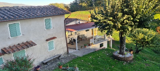 immagine annuncio 5 di 12