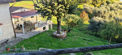 immagine annuncio 7 di 12
