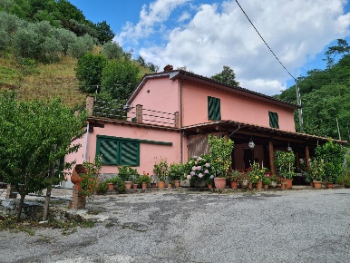 Foto Casale a Pescia Centro di 200 m² con 8 locali in vendita