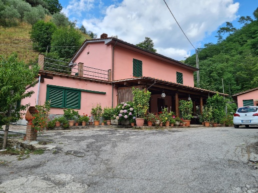 immagine annuncio 1 di 3