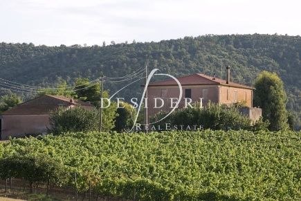 Foto Casale a Magliano in Toscana Centro di 300 m² con 8 locali in vendita